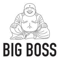 BIGBOSS logo